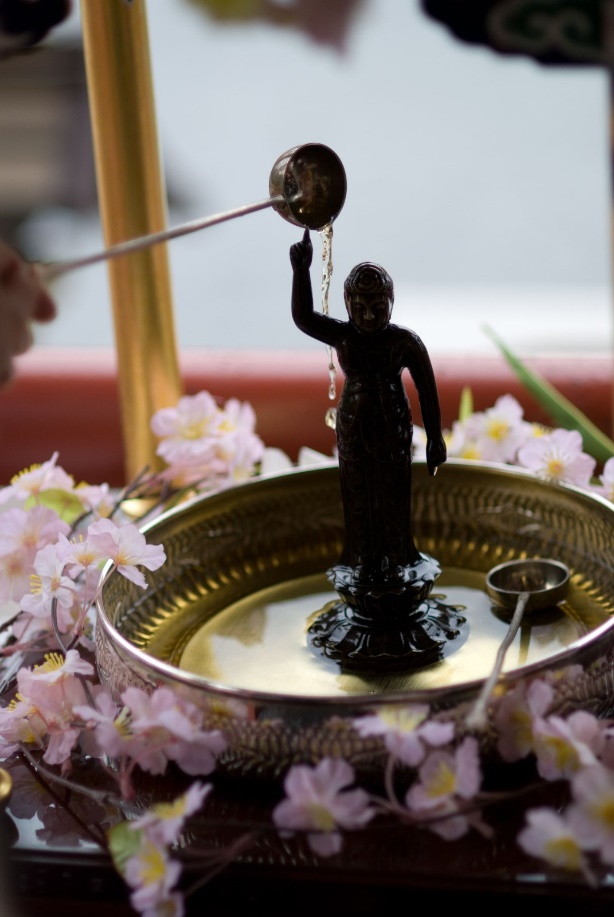 花祭りでお釈迦様に甘茶をかけるのは何故 由来は 気になること 知識の泉